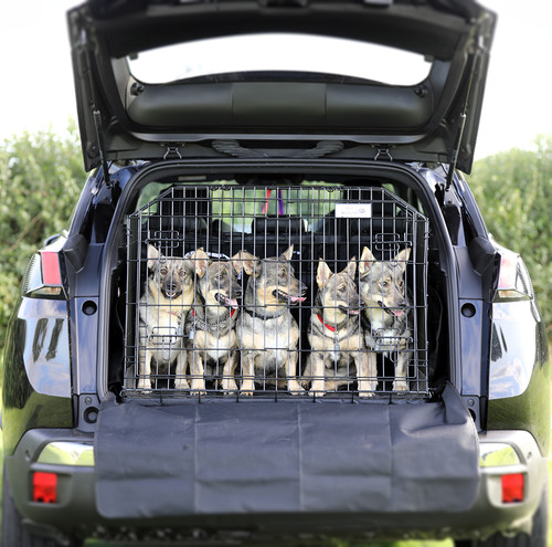 Pet world peugeot 3008 - pet,
